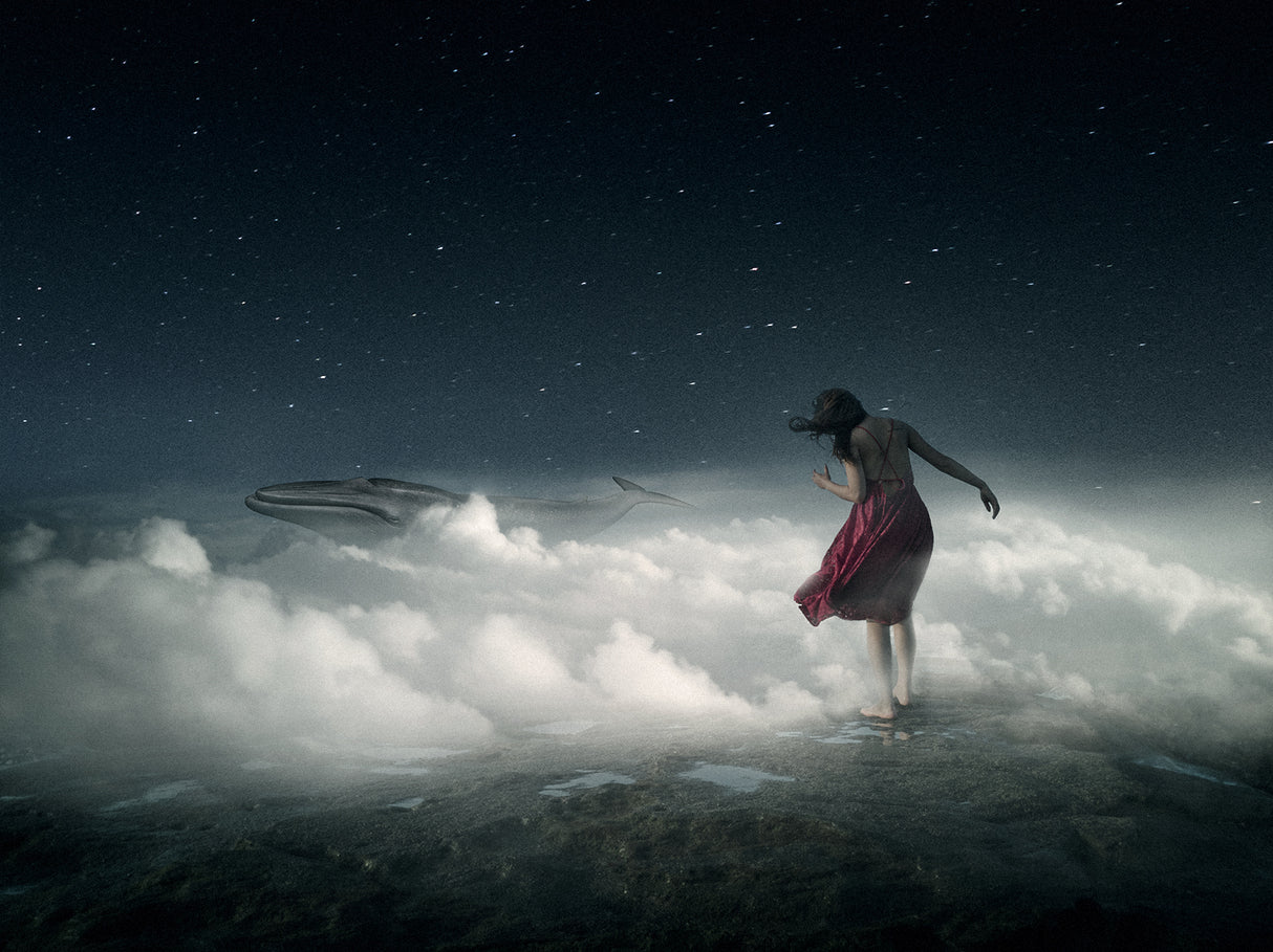 MY SKY Poster och Canvastavla