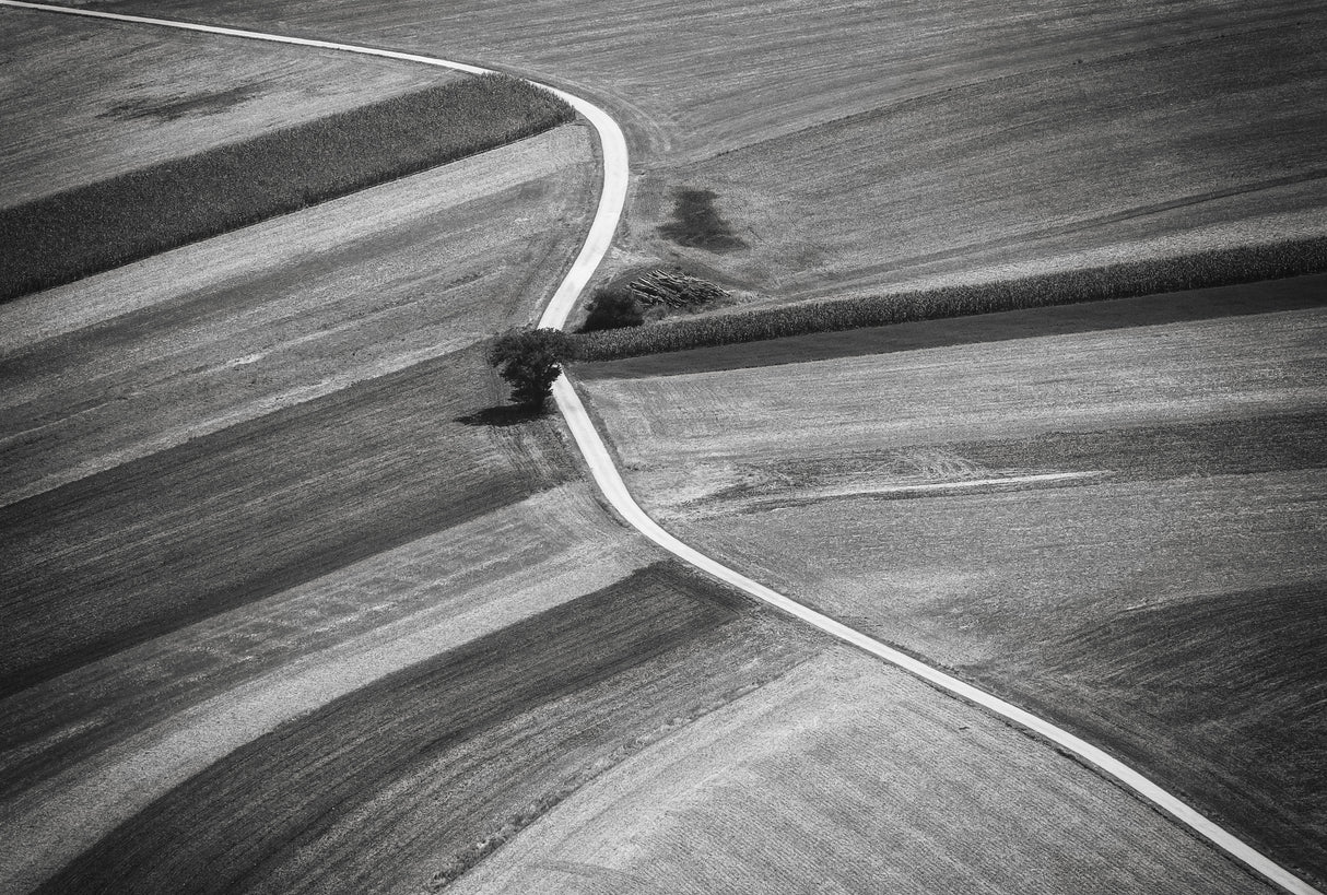 The road Poster och Canvastavla
