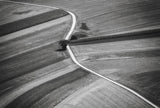 The road Poster och Canvastavla