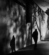 Shadows on Montana Avenue Poster och Canvastavla