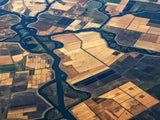 Delta Farmland Poster och Canvastavla
