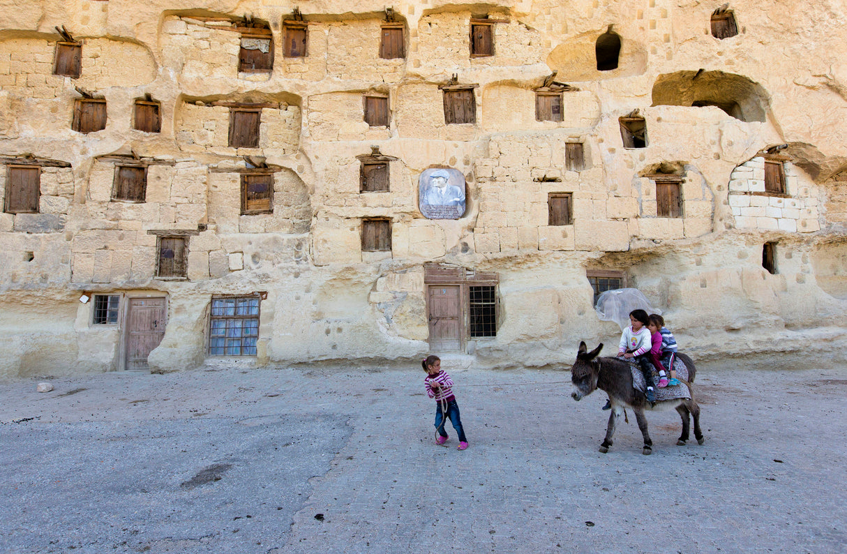 A short trip with Donkey Poster och Canvastavla