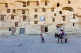 A short trip with Donkey Poster och Canvastavla