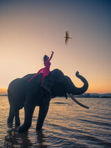 Sunset at Lak lake Poster och Canvastavla