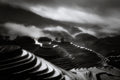 The terraced fields. Poster och Canvastavla