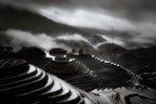 The terraced fields. Poster och Canvastavla
