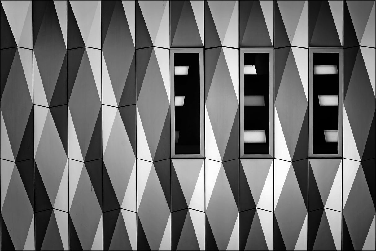 B&amp;W facade Poster och Canvastavla