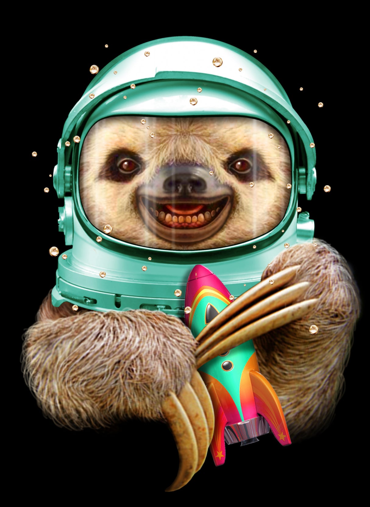 SPACESLOTH Poster och Canvastavla