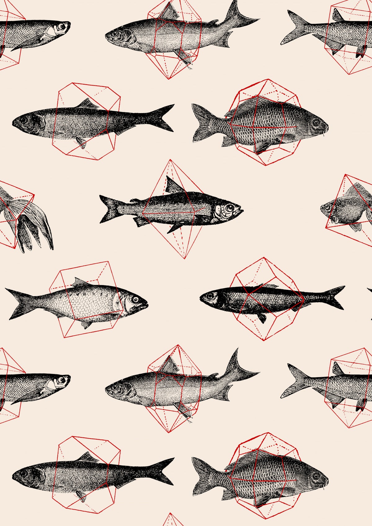 Fishes In Geometrics Nº4 Poster och Canvastavla