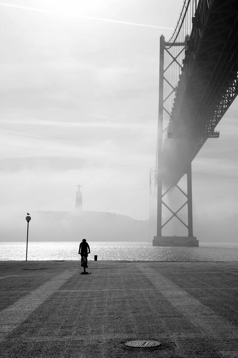 Foggy days Poster och Canvastavla