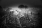 Winter Nights Poster och Canvastavla