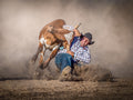 Steer Wrestling Poster och Canvastavla