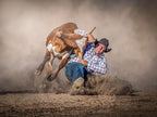Steer Wrestling Poster och Canvastavla
