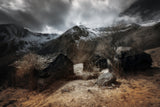 Highlands Poster och Canvastavla