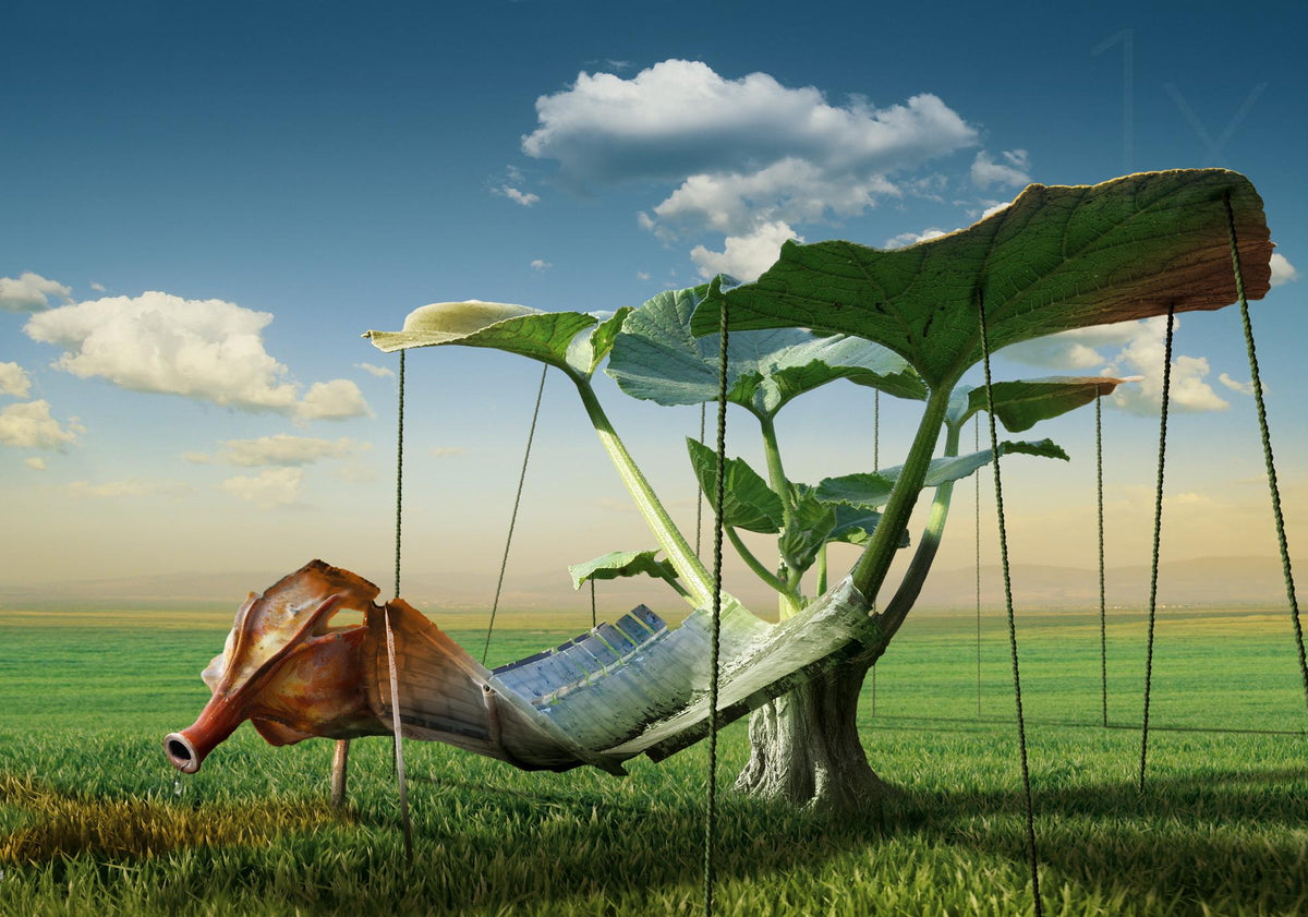 The strange garden Poster och Canvastavla