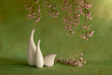 Spring mood Poster och Canvastavla
