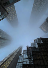 Melting in Fog Poster och Canvastavla