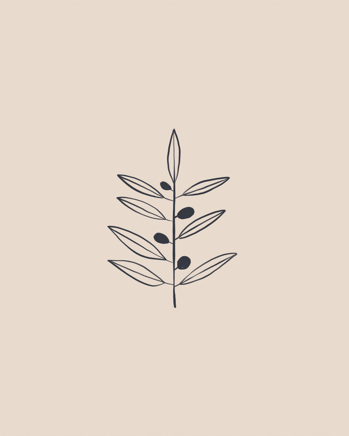 Olive Branche Poster och Canvastavla