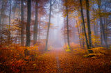 October Trail Poster och Canvastavla