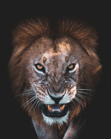 The Angry Face Poster och Canvastavla