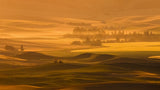 Field Scenery Poster och Canvastavla