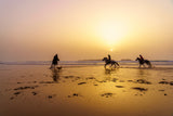Sunset silhouette of horses and riders, beach of Essaouira Poster och Canvastavla