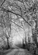 Tuscan Dream Alley Poster och Canvastavla