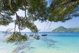Dreaming of the Sea Poster och Canvastavla