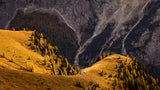 autumn in the Dolomites Poster och Canvastavla