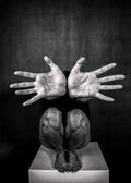 Hands/2 Poster och Canvastavla