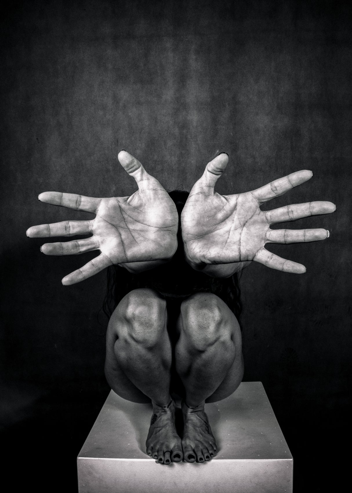 Hands/2 Poster och Canvastavla