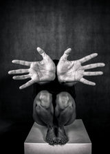 Hands/2 Poster och Canvastavla