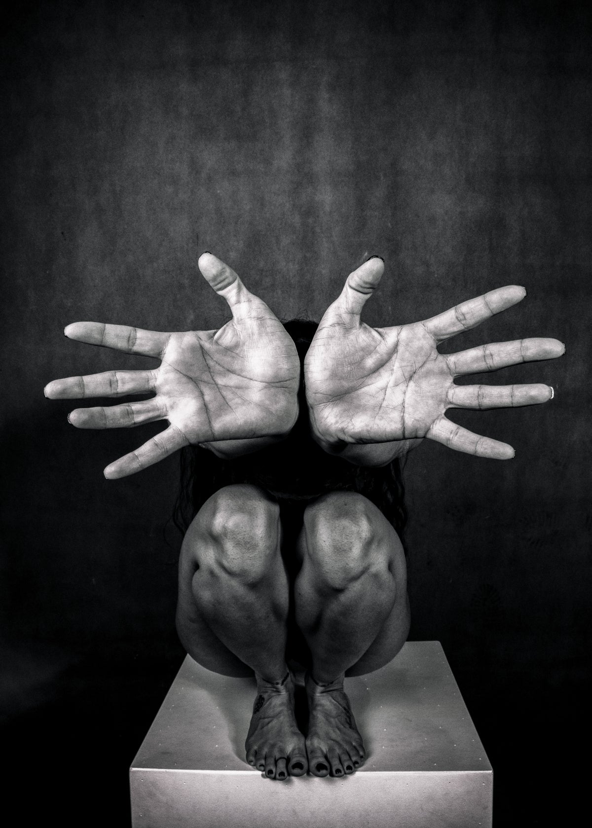 Hands/2 Poster och Canvastavla