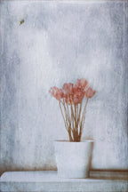 When Summer's Gone... Poster och Canvastavla