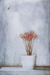 When Summer's Gone... Poster och Canvastavla
