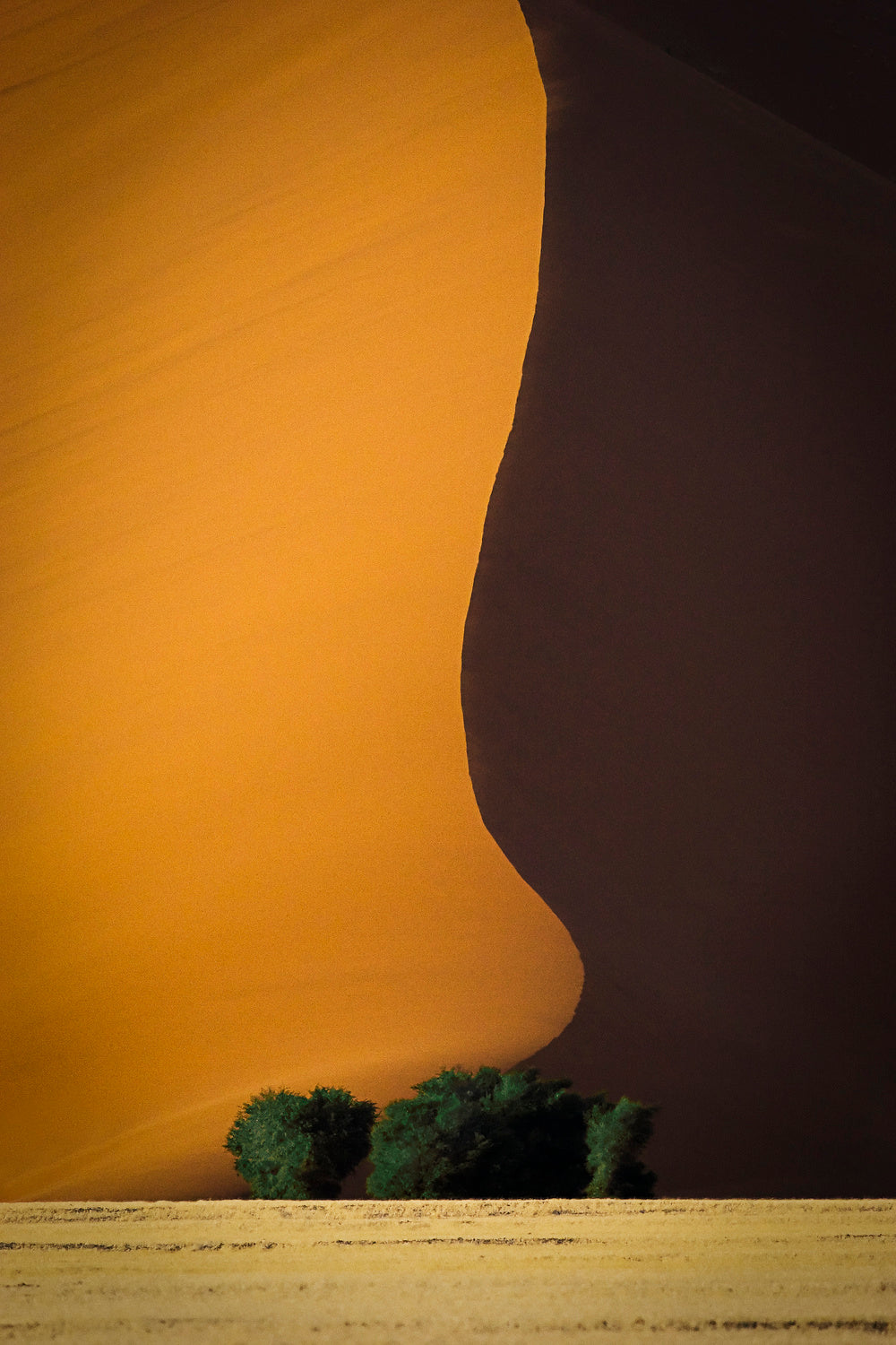 Dune 1 Poster och Canvastavla