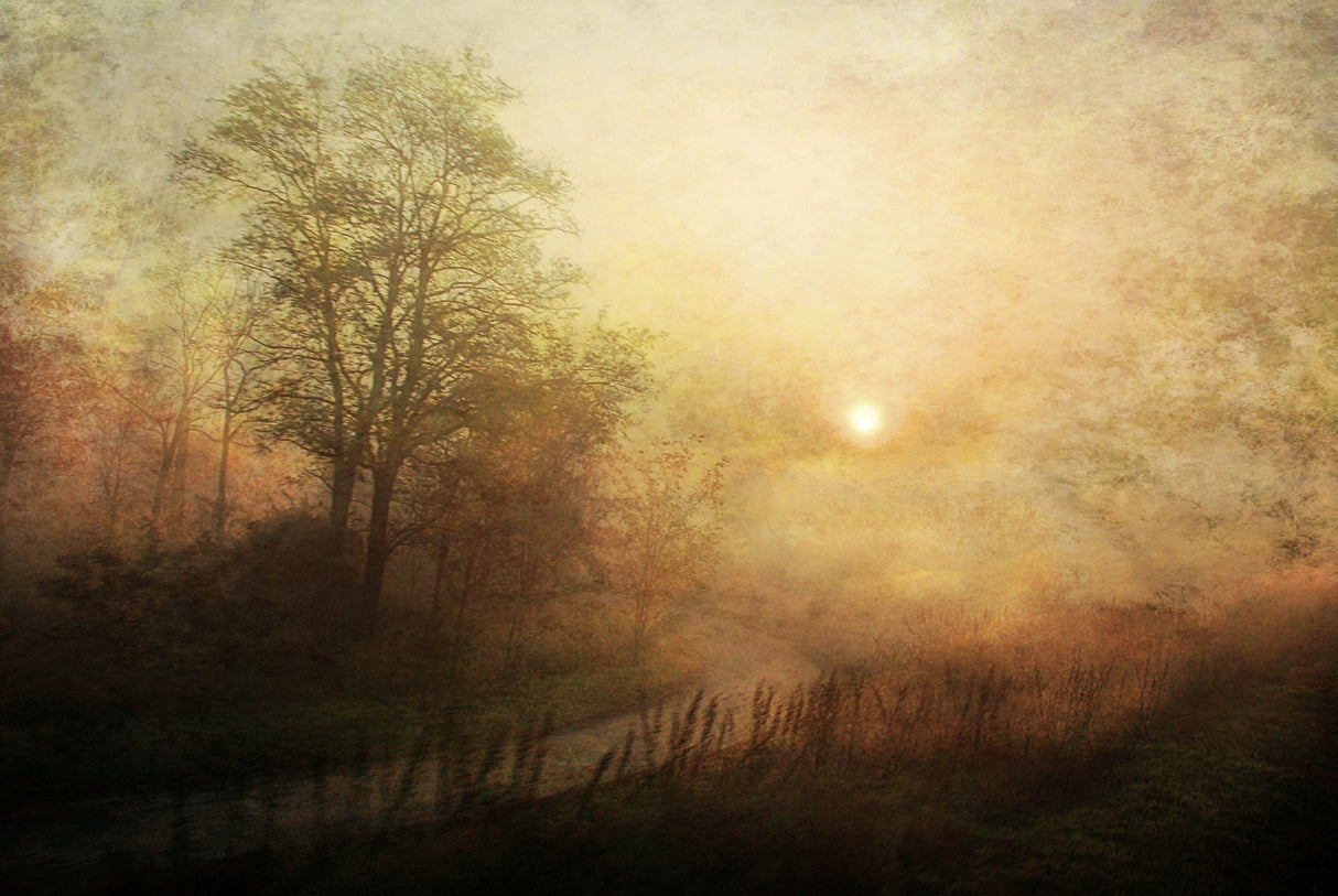 awakening Poster och Canvastavla