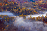 Autumn vibes in the morning Poster och Canvastavla