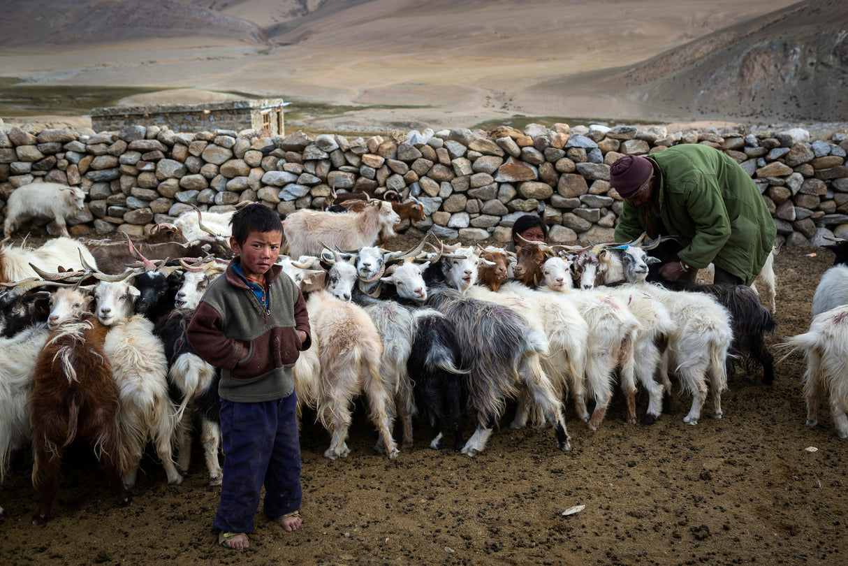 Nomadic Boy Life Poster och Canvastavla