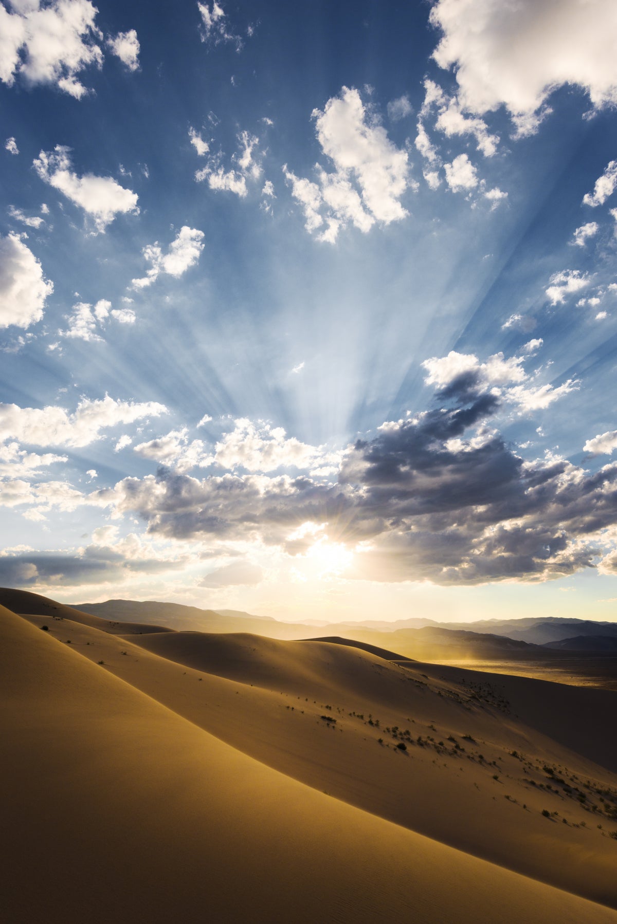 Desert Rays Poster och Canvastavla