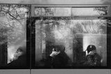 winter passengers. Monday morning Poster och Canvastavla