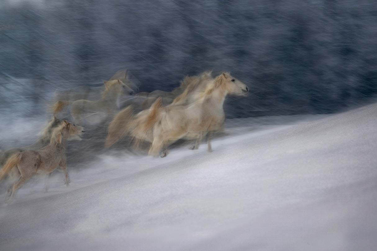 winter scene Poster och Canvastavla