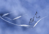 As light as air... Poster och Canvastavla