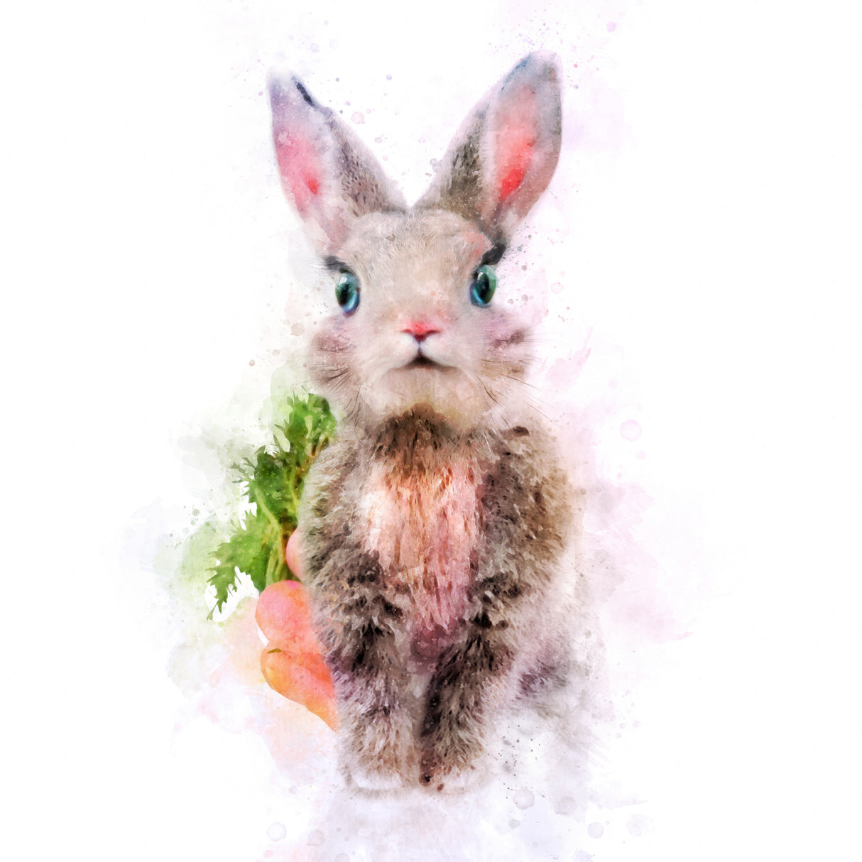 Baby Rabbit Poster och Canvastavla