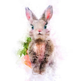 Baby Rabbit Poster och Canvastavla