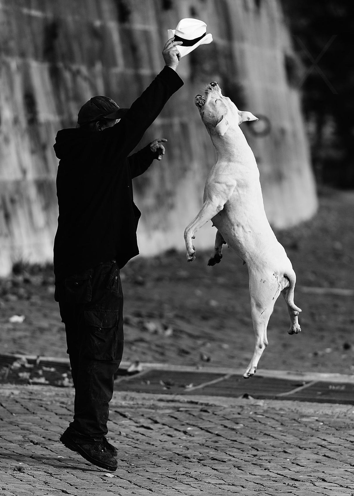 jumping with my friend Poster och Canvastavla
