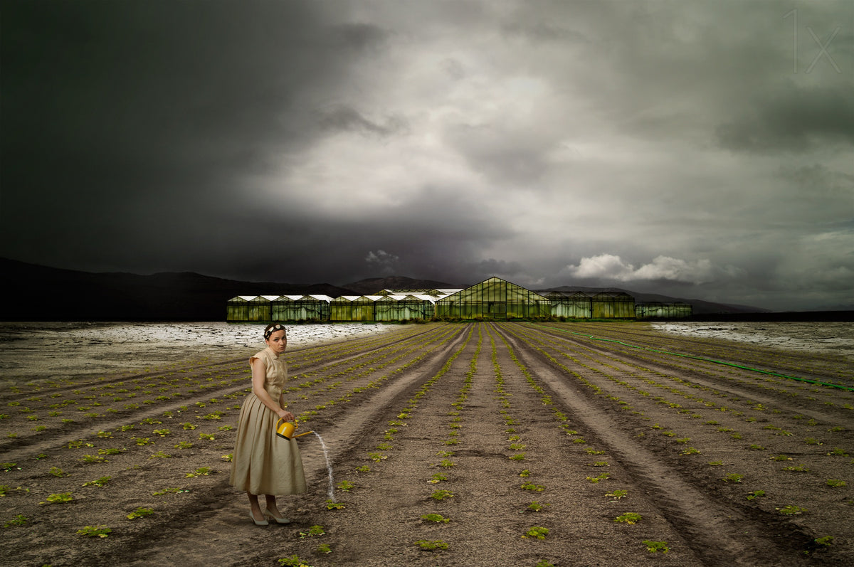 The farm Poster och Canvastavla