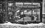 New York in Blizzard Poster och Canvastavla