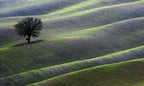landscape Poster och Canvastavla