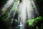 the eden of light Poster och Canvastavla